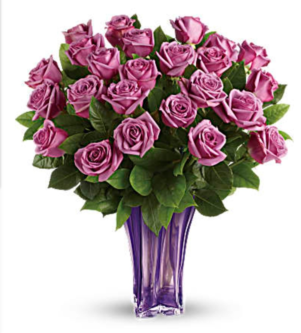 Roses all colors Lila Syria